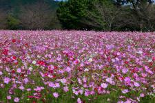 宮の前公園