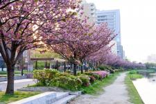 大濠公園