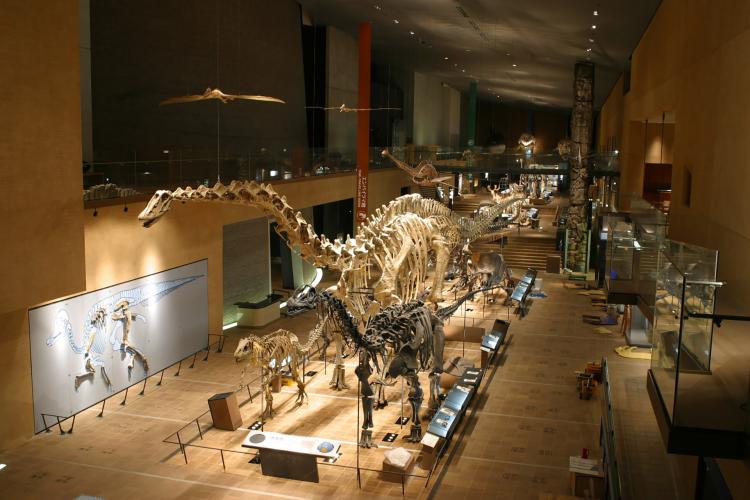 いのちのたび博物館