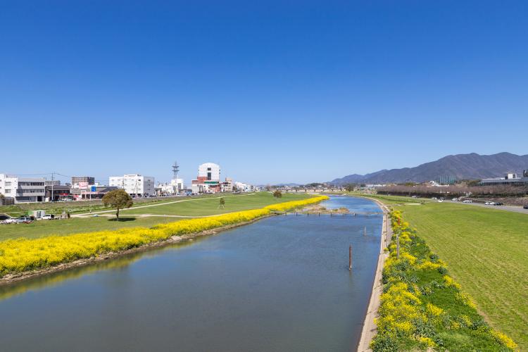 遠賀川河川敷