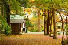 鎮国寺