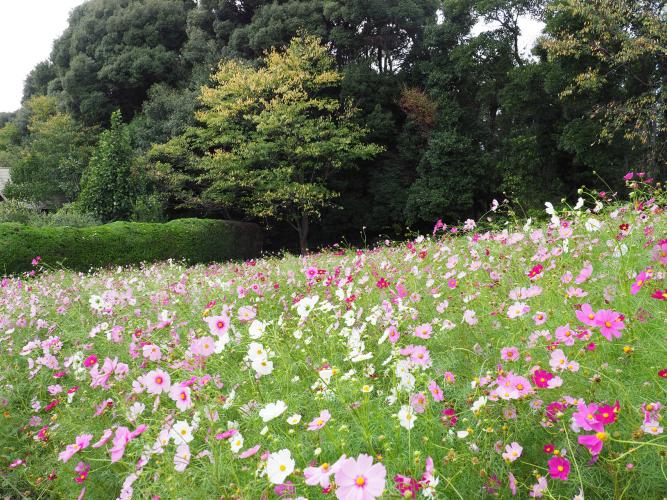響灘緑地グリーンパーク