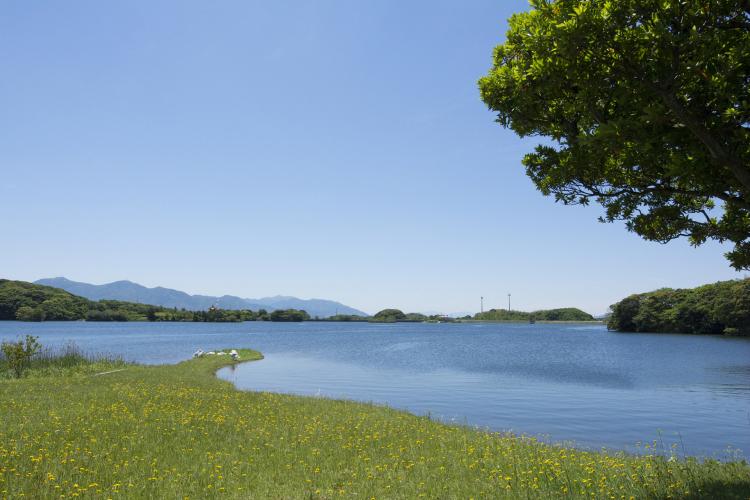 響灘緑地グリーンパーク