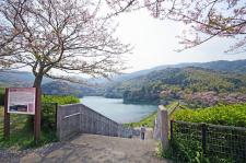 昭和池公園