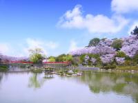 勝盛公園