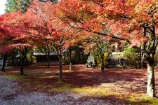 呑山観音寺