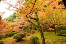 九年庵