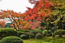 九年庵