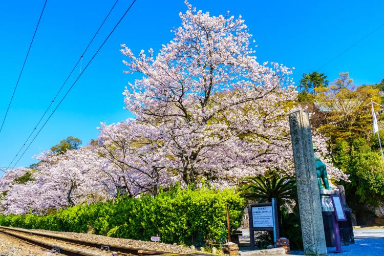 陶山神社