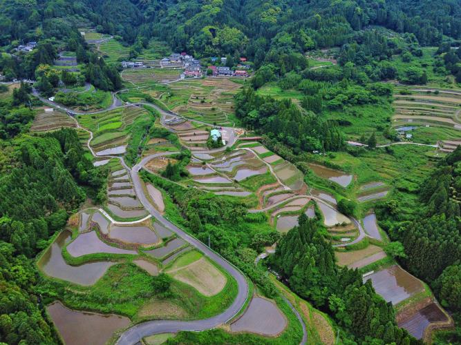 江里山の棚田