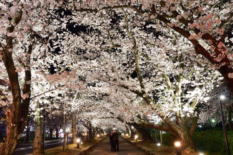 玖島城(大村公園)