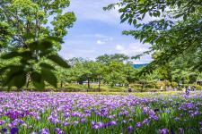 玖島城（大村公園）