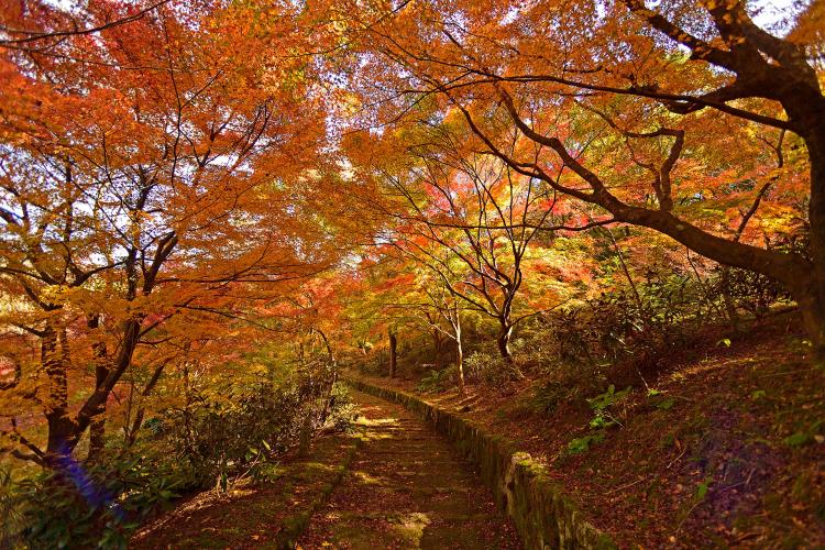 蓮華院誕生寺奥之院