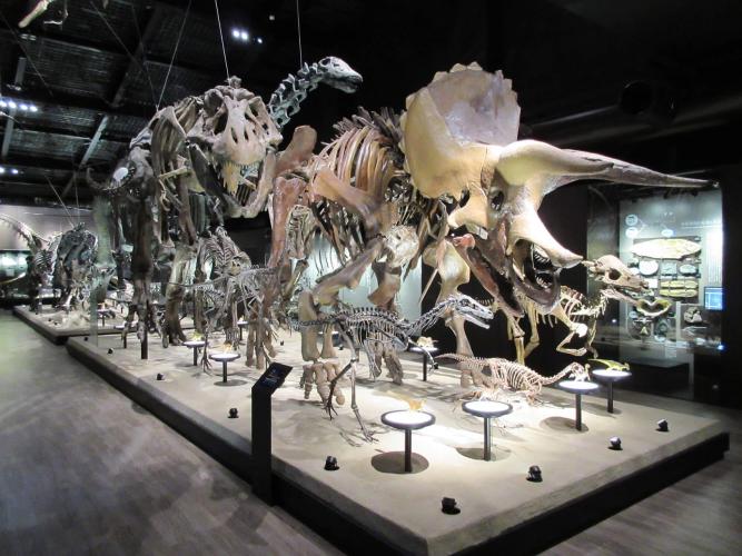 御船町恐竜博物館