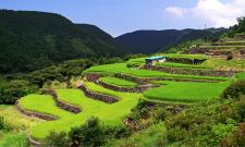 寒川の棚田（寒川地区棚田）