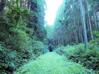 宮原線