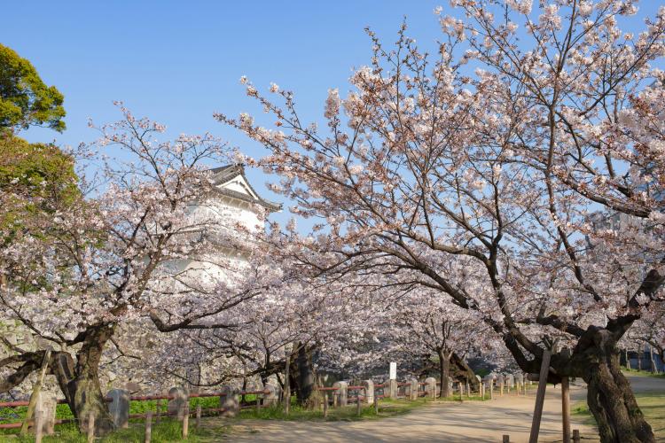 大分城址公園(府内城)