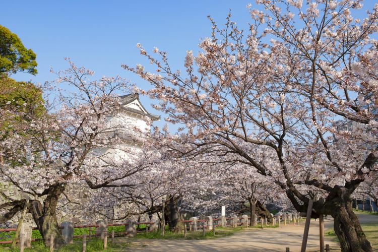 大分城址公園（府内城）