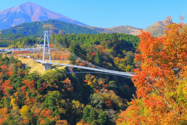 九重“夢”大吊橋