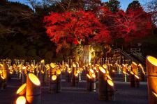 竹田市竹楽