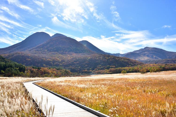 タデ原湿原(長者原)