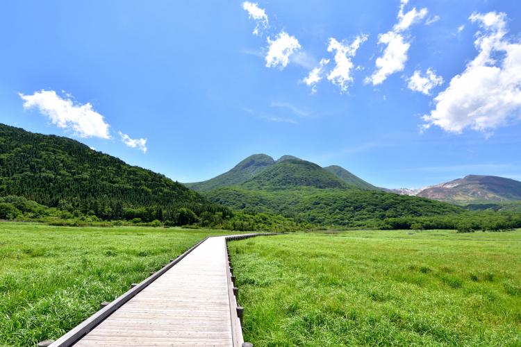 タデ原湿原(長者原)