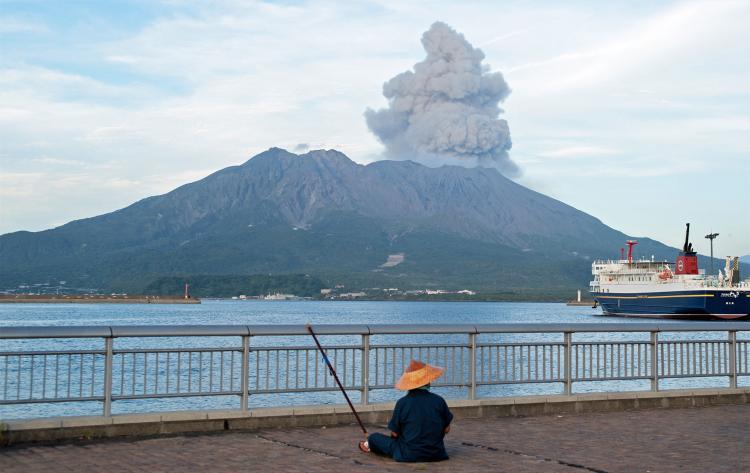 ドルフィンポート