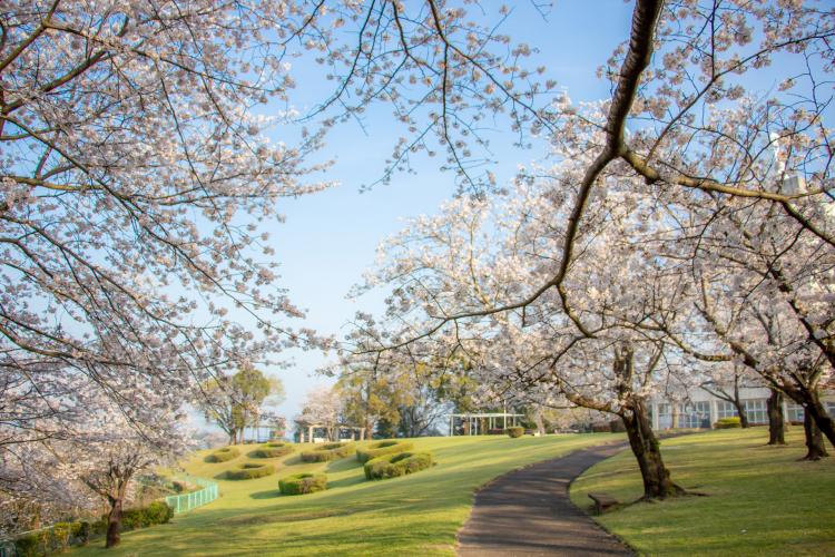 城山公園