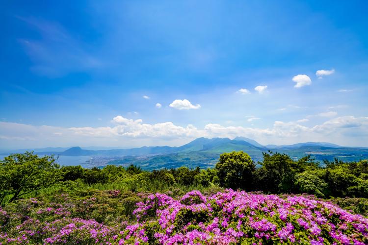 城山公園