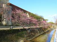 与儀公園