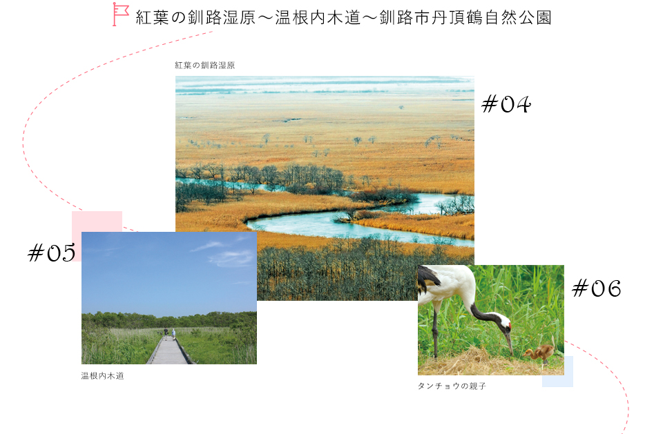 紅葉の釧路湿原～温根内木道（おんねないもくどう）～釧路市丹頂鶴（たんちょうづる）自然公園