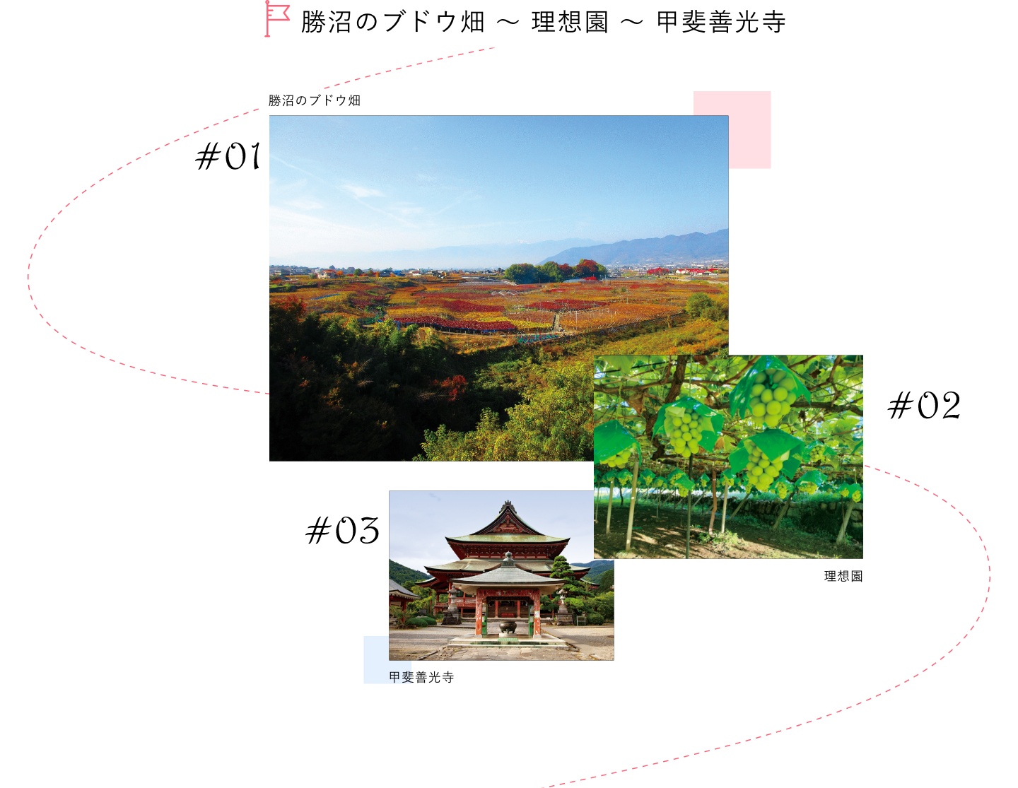 勝沼のブドウ畑～理想園～甲斐善光寺​
