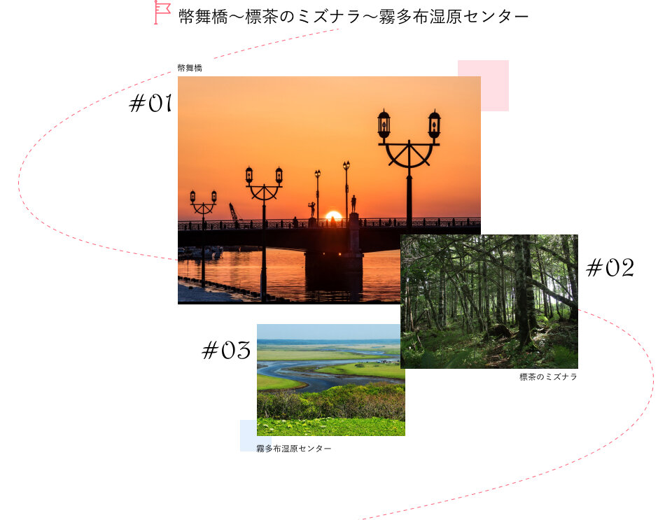 幣舞橋~標茶のミズナラ~霧多布湿原センター