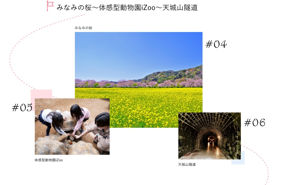 みなみの桜～体感型動物園iZoo～天城山隧道