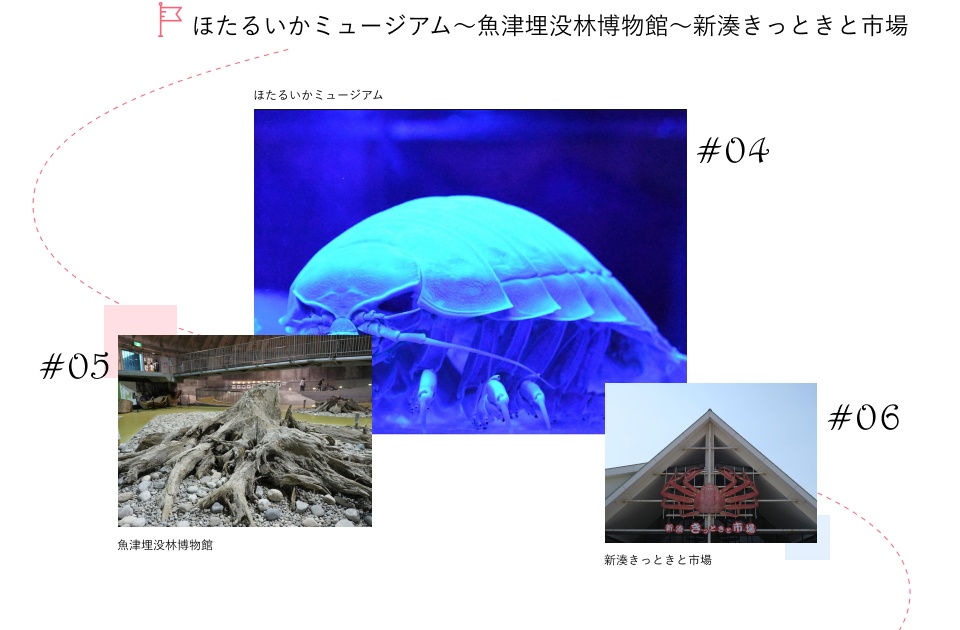 ほたるいかミュージアム~魚津埋没林博物館~新湊きっときと市場