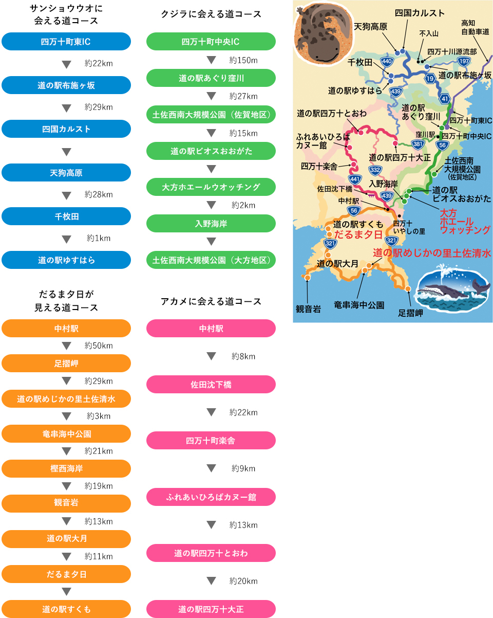 大方四万十道路