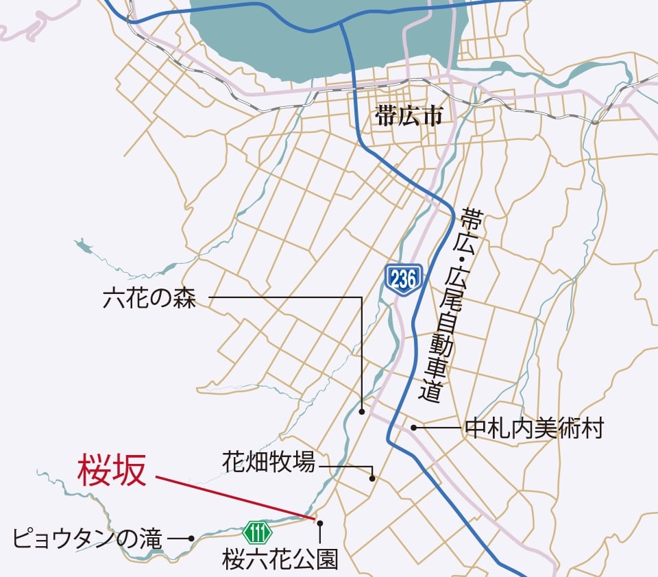 桜六花公園 桜坂 ドライブコンサルタント